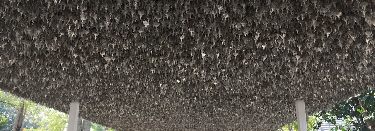 Et odit ducimus sint veniam dolores voluptatem ut veniam.